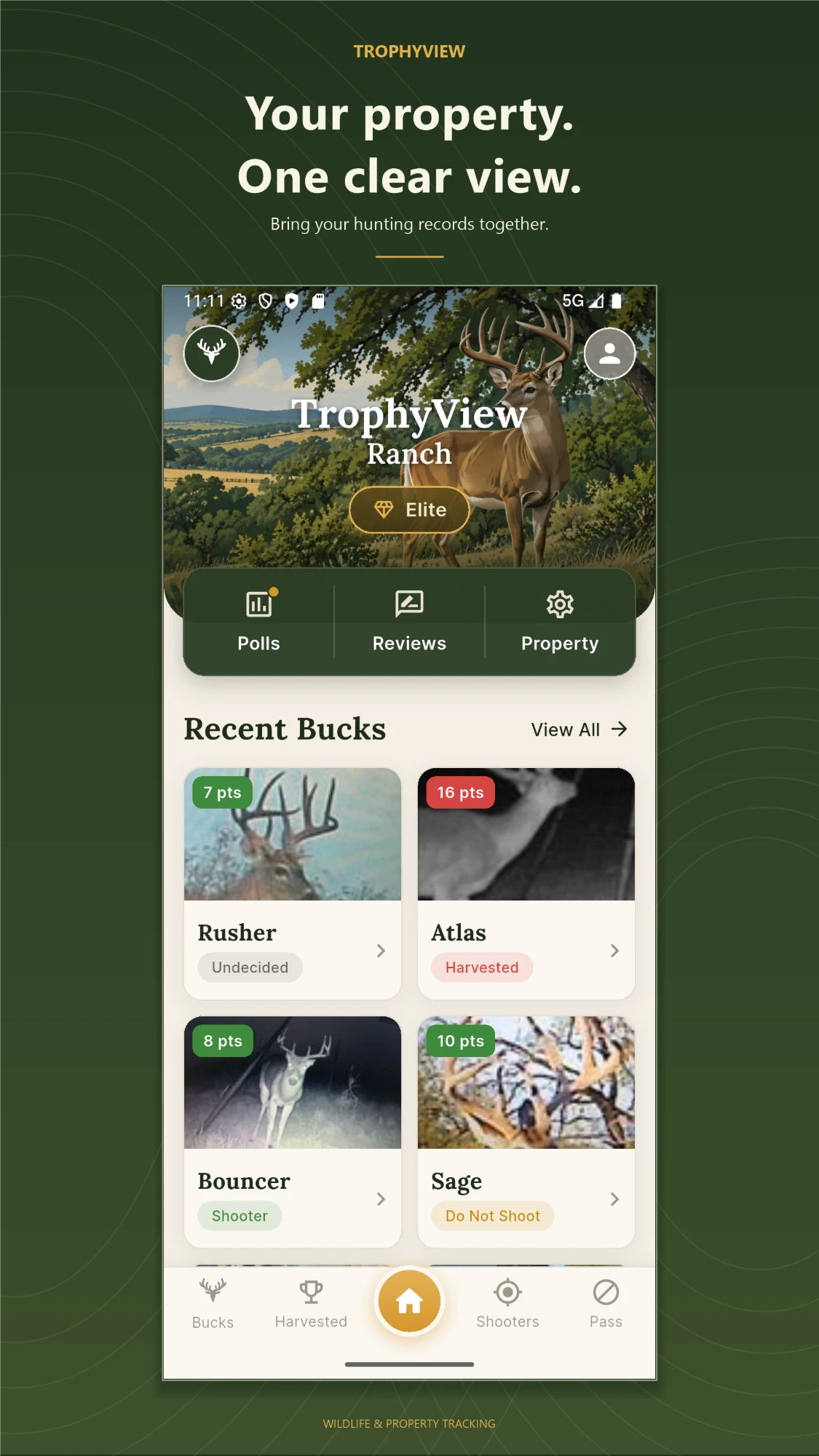 TrophyView ranch home screen showing polls, reviews, property settings, and recent bucks
